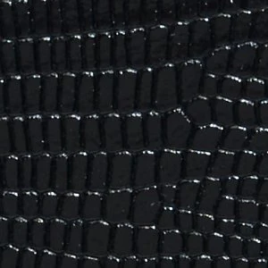Aellaax - Image 6