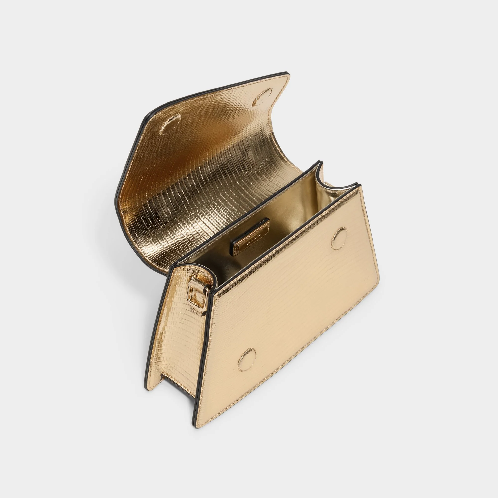 Aellaax - Image 3