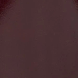 Alosaa - Image 6