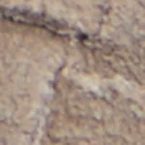 Carmo - Image 10