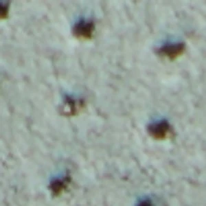 Journey - Image 9