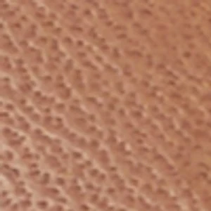 Silyia - Image 8