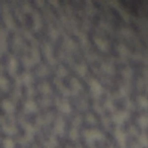Uliana - Image 8